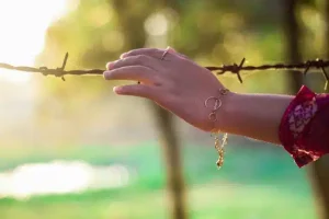 Qué es la violencia estética